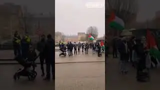 Free Palestine: Inspiring Stories of Global Solidarity
