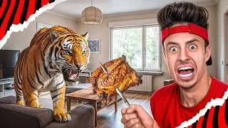 100 ANIMAIS EXÓTICOS EM 24 HORAS!