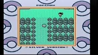Pokemon Silver - Sunny of Sunday