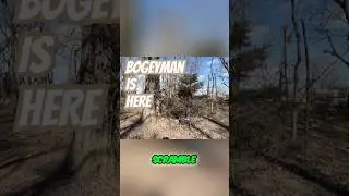 Why Big Numbers Sneak Up on Disc Golfers