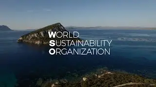 World Sustainability Organization (SPANISH) - Official Video