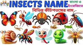 25 Insects Name🐞🐜|| Insects name with pic & video for kids || Learn Insects Name Bengali to English