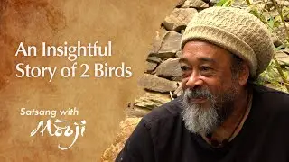 An Insightful Story of 2 Birds