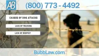 Dog Bite Injury Attorney in Colorado Springs | Andrew Bubb