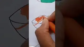 India+ Pakistan+Bangladesh flag lips drawing #like