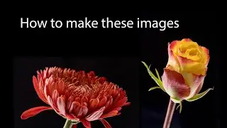 Creative macro images of beautiful flowers