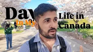 Canada Me Cherry Blossom | A Day In My Life in Toronto | Cherry Blossoms | #canada #toronto