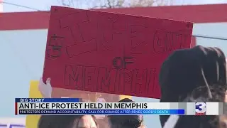 Memphis anti-ICE protesters stand against injustice