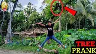 New Tree Prank Video 2025!2025!Funny reactionvideo Prank video 2 crazy boys Tree Prank