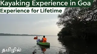 Kayaking in Chapora river, Goa | Kayaking in Mangrove forest | Off beat places in Goa