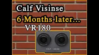 Calf Visinse 6 Months Later...