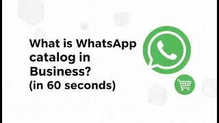 What is WhatsApp catalog in Business? (in 60 seconds)