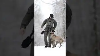 Army Action Dog Stand | Army dog Training | dog fits training | India army dog training |army action