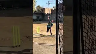 #shabqadarcricketaccdmy #shabqadar_green #sca_family #adnan(archer)