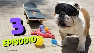 Las Locuras de Peligro y la Humana 🐶 | Episodio 3: &iexcl;Rocket entra en acci&oacute;n!