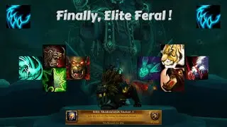Feral Druid PvP | Shadowlands S1 | Shadenox, the Elite Ro ... Feral ! Elite Feral !