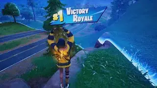 Fortnite (I done hit the shrimp puff spinner)