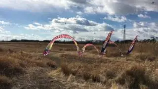 FPV Drone Race   Demo - Drones Hub