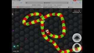 Wormo.io #3  I lose. I don&rsquo;t know why I lose in that times. Can you said why?