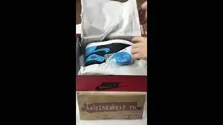 Nike Air Jordan 1 Retro High NC to Chi Leather CD0461-046 Ft halosneakers