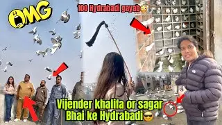 Vijender khalifa or sagar Bhai ke kabuter gayab😳😎❤️ 100 Hydrabadi ka shok🫶🏻🕊️ #neerajpigeon #viral 