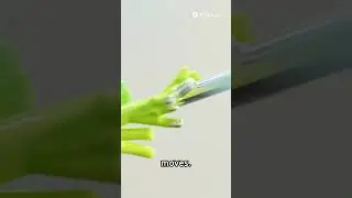 This AI Can Read Your Mind! 🤯