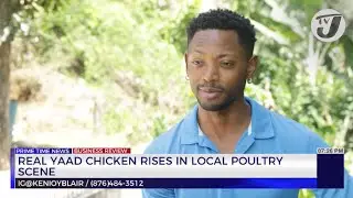 Real Yaad Chicken Rise in Local Poultry Scene | TVJ Business Day Review