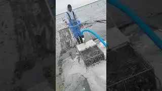 water raking clams