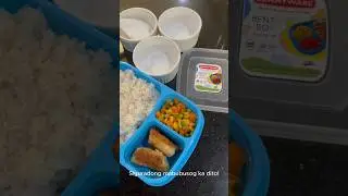 NEWEST BENTO LUNCH BOX! Sunnyware 3-division Bento Box - Perfect sa mga rice-is-life!