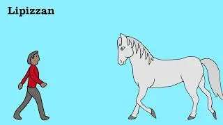 Horse Breed Size Comparison #ShetlandPony #Mustang #Arabian #Quarterhorse and more
