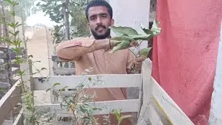 PANI KI SHADEED SHORTAGE HO GAI AJ!
