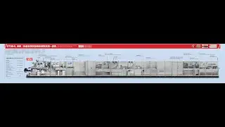 DTWHL500 HigH Speed Blister-Flow Wrapper-Cartoner Dual-Track Line