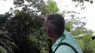 Birdwatching Experience - Laguna Lodge Tortuguero