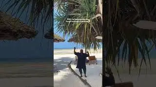 Beach coconut #islandlife #beach #tanzania #travel #africa #viral #trending #zanzibar #oceanlife