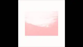 Launaea - Ocet&aacute;
