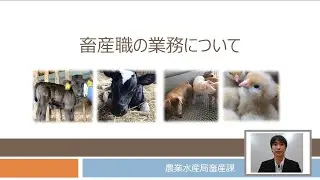 【愛知県庁 仕事紹介】農業水産局（畜産職）