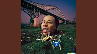 罗伯特卡洛斯