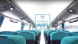 Caribe Tours introduce 42 modernos autobuses al sistema de transporte interurbano