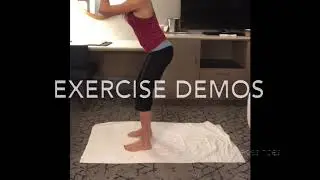 Full Body Workout Demo