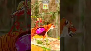 Tiger Lung Shot 3d Gameplay😲