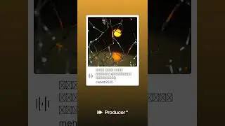 আমায় বেবি অলায় খাইছেরে | SoundNova