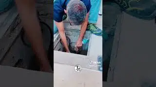 pompa sommersa acque chiare con galleggiante integrato