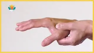 Acupressure point Large Intestine 4 (LI-4)