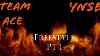 Freestyle Pt 1 YNSB ft Team Ace