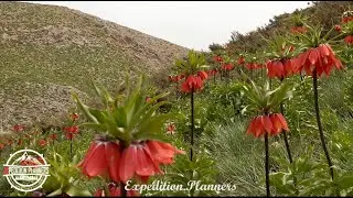 Overlanding Iran - country of amazments