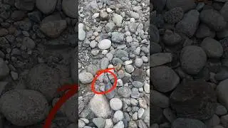 River Stone 2024 #riverstone #stones #2024