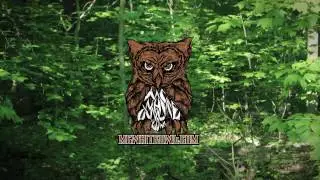 MC Whiteowl - One Chance (prod. by Statik Selektah)