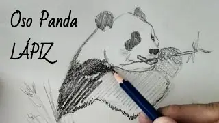 #27 Dibujo r&aacute;pido Oso Panda 🐼 Panda Bear | Dibujar con Lapiz