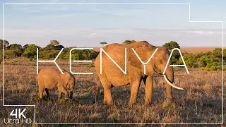 🐘 Stunning Kenya Nature & Wildlife in 4K