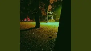Signal Error